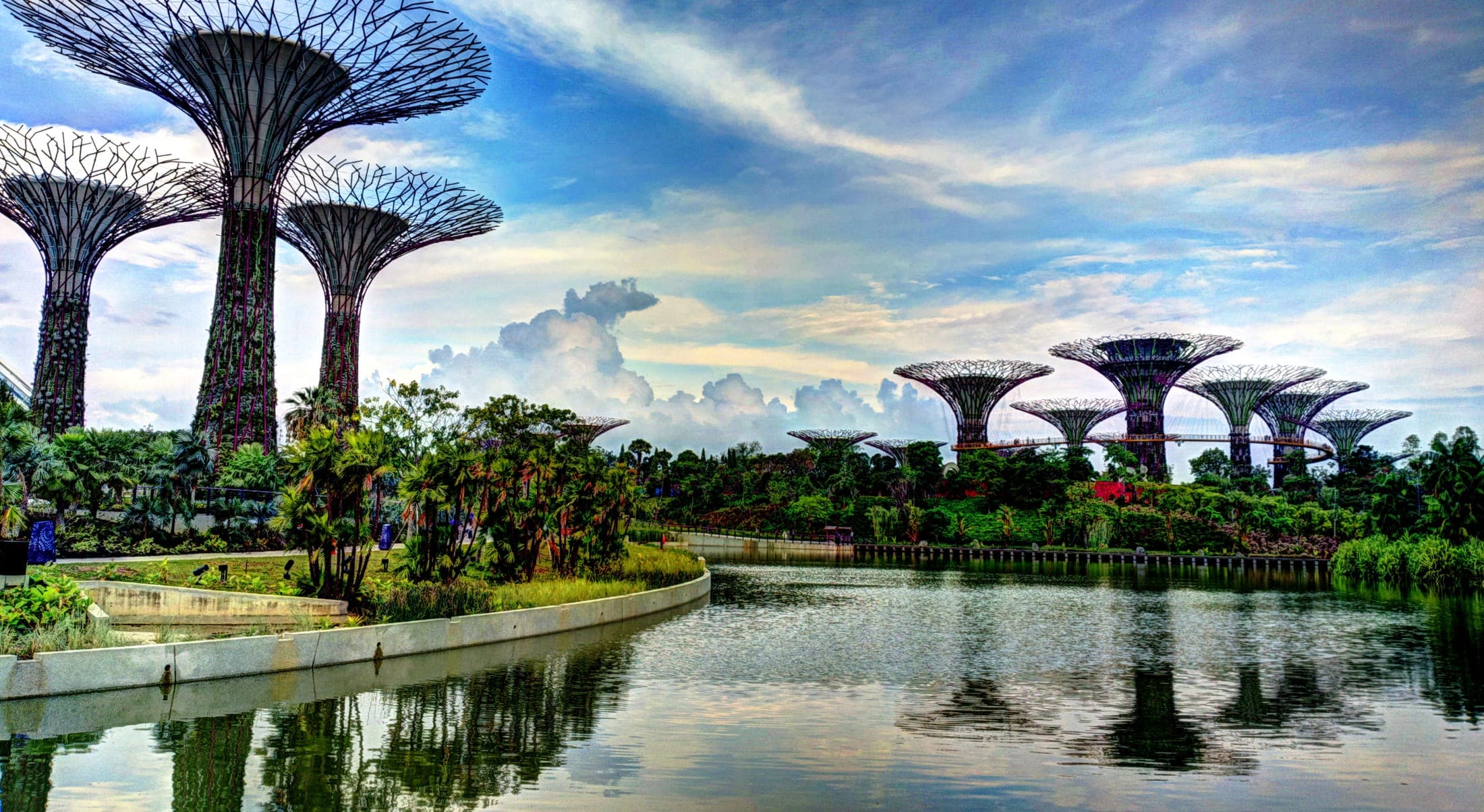 Supertree Grove futuristic tree structures at Gardens by the Bay, Singapore