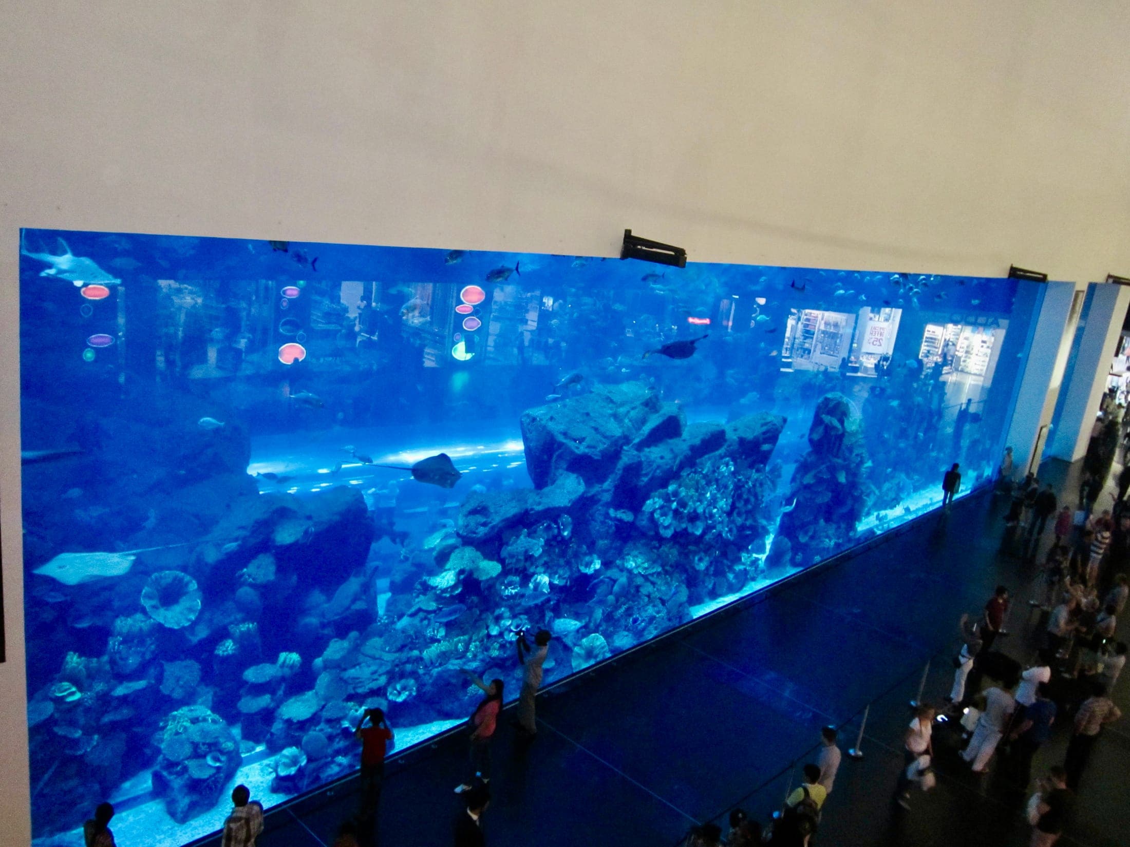 Dubai Aquarium and Underwater Zoo tank inside The Dubai Mall, with visitors viewing marine life